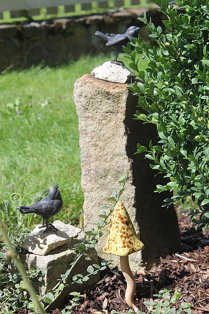 Vögel